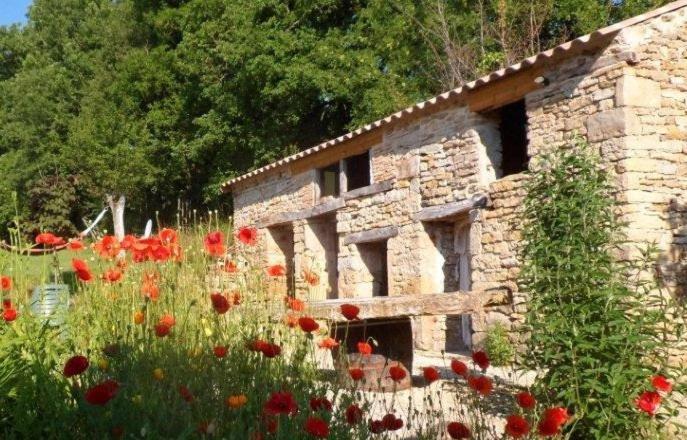 Le Mas de Carrié Bed and Breakfast Parisot  Exterior foto